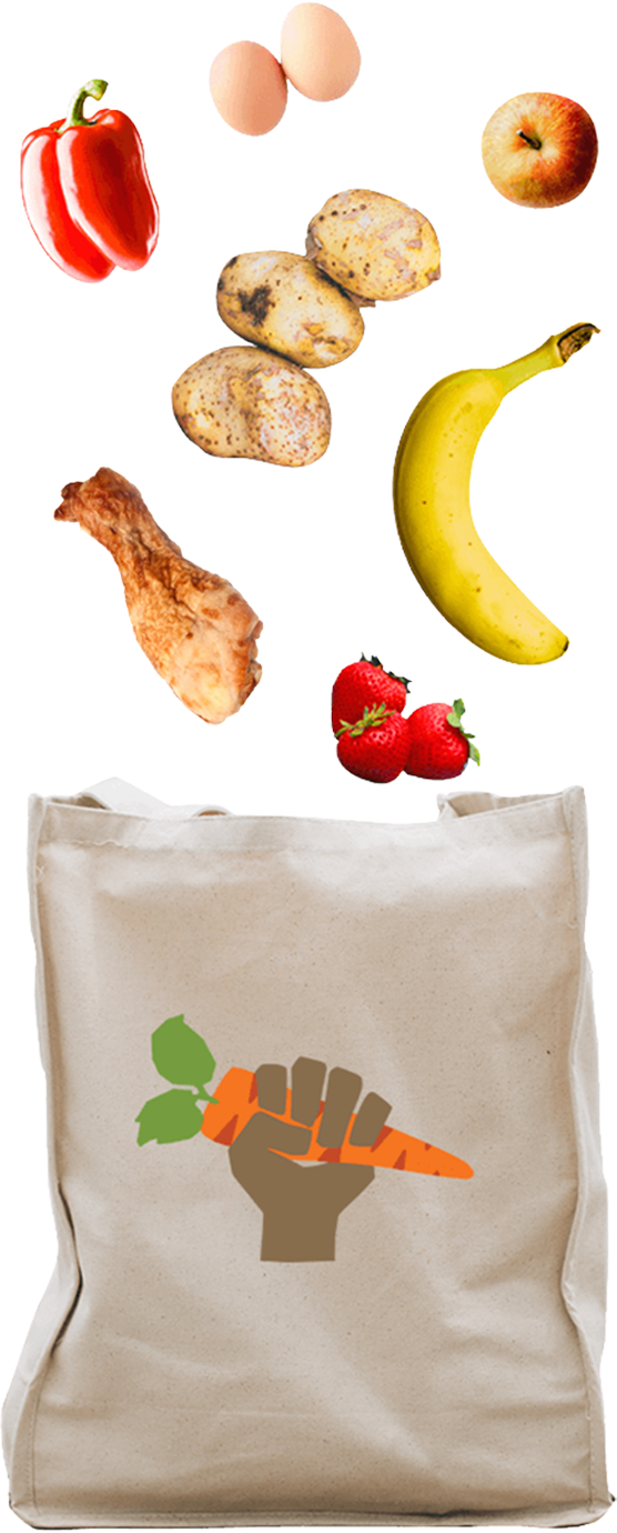 bag (1)